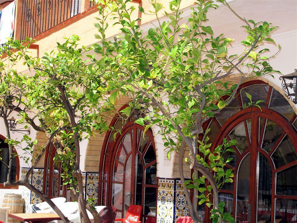 Hotel Comarruga Platja מראה חיצוני תמונה